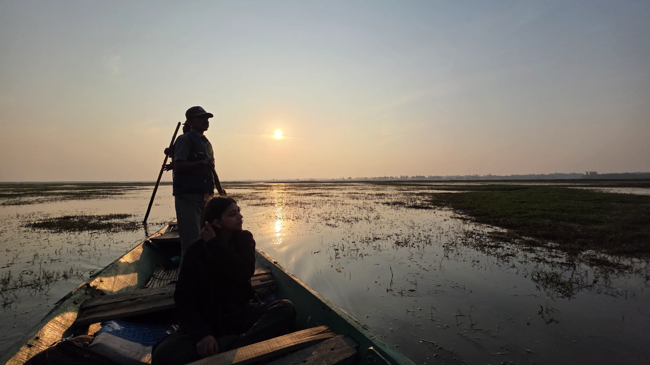 Early morning start for birds