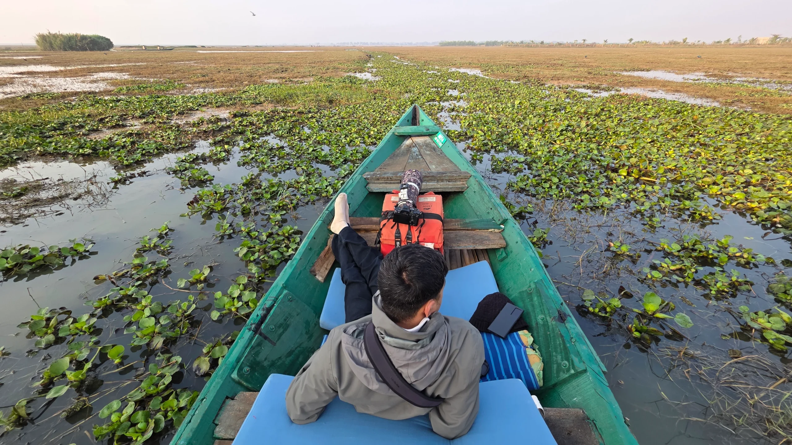 All birding is through on boat