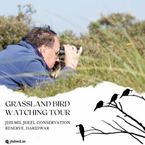 Grassland Birding Tour