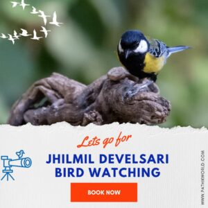 Jhilmil Devalsari bird Watching Tour