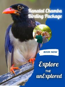 Kanatal Chamba Birding Package