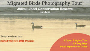 Jhilmil Migrated Birds Tour
