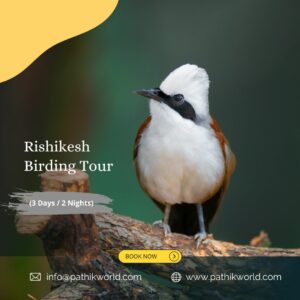 Rishikesh Birding
